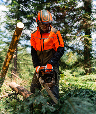 Persoon met bosbouwhelm en veiligheidskleding zaagt een boom om met een kettingzaag in een naaldbos.