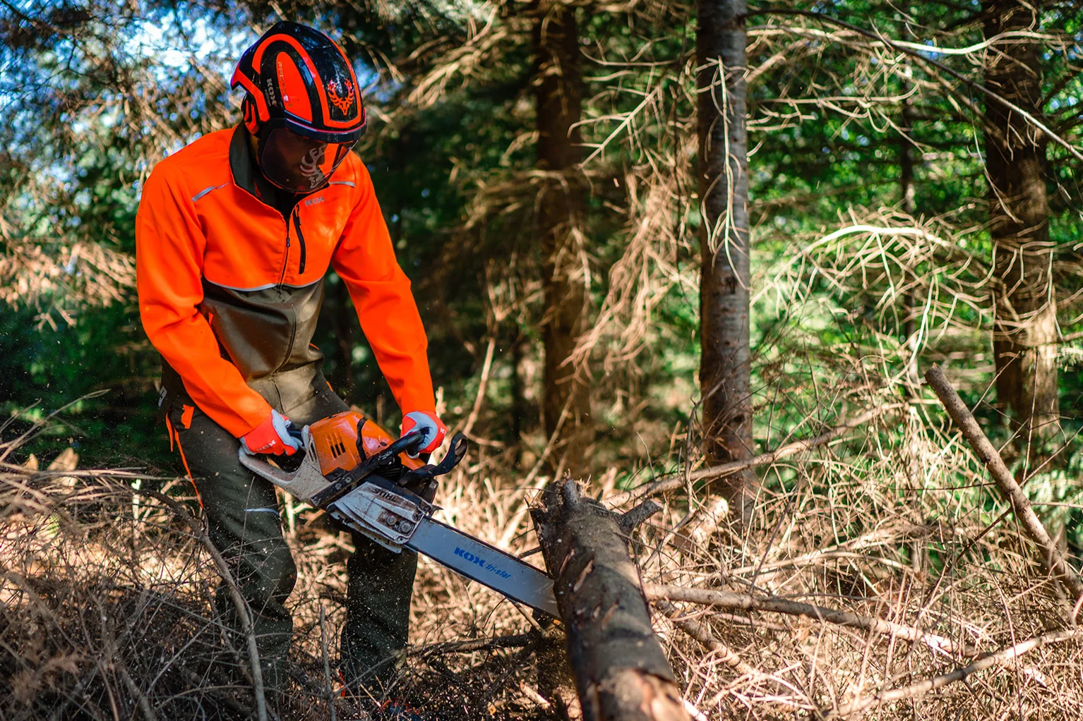 Een persoon in beschermende kleding met helm en handschoenen zaagt in het bos met een motorzaag een boomstam die op de grond ligt. Rondom staan bomen en droog takhout, terwijl zonlicht door het bos valt.