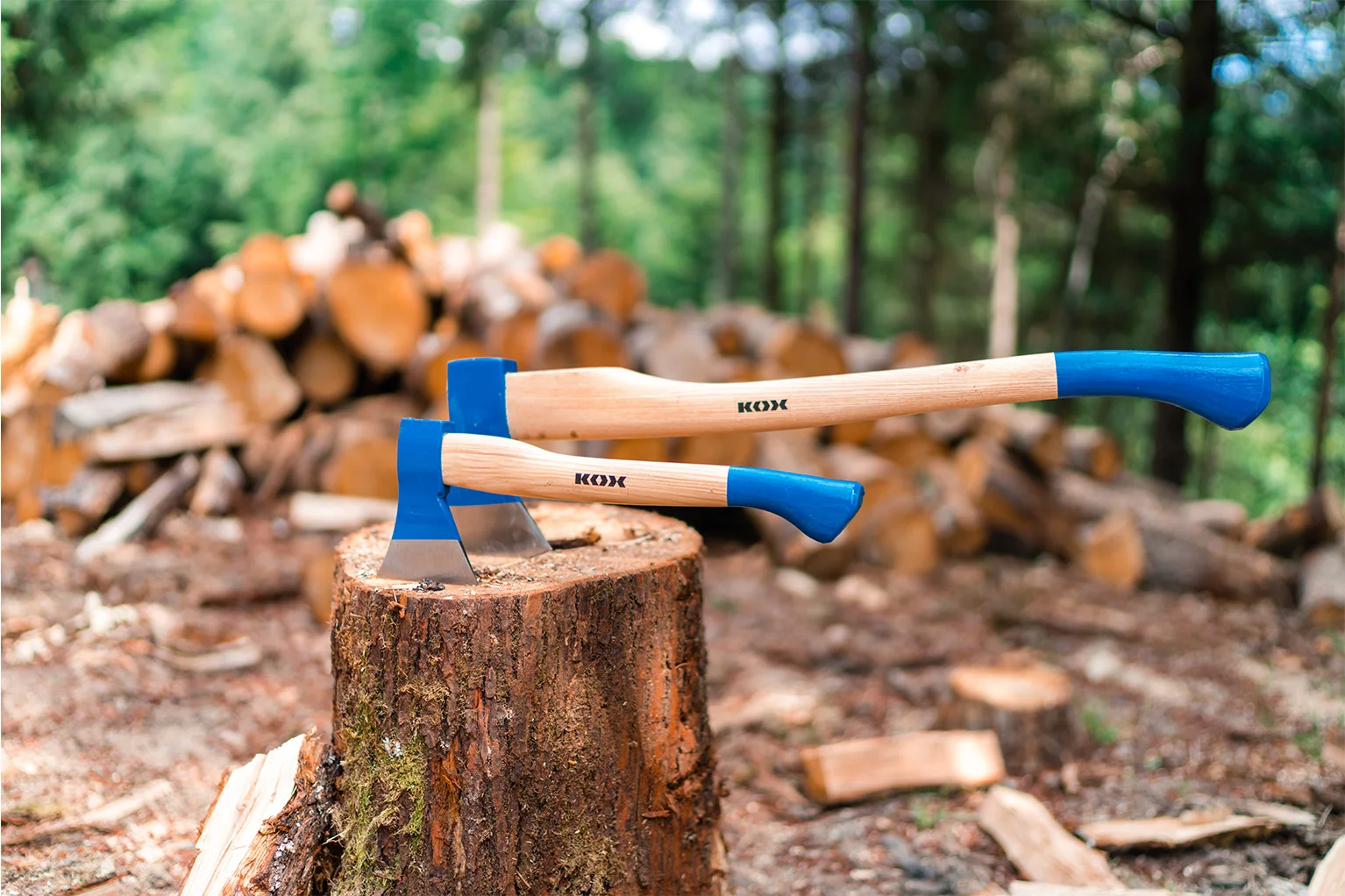 Twee bijlen met lichte houten stelen en blauwe koppen zitten naast elkaar in een boomstronk. Op de achtergrond liggen gestapelde houtblokken in een groene bosomgeving, licht onscherp weergegeven.