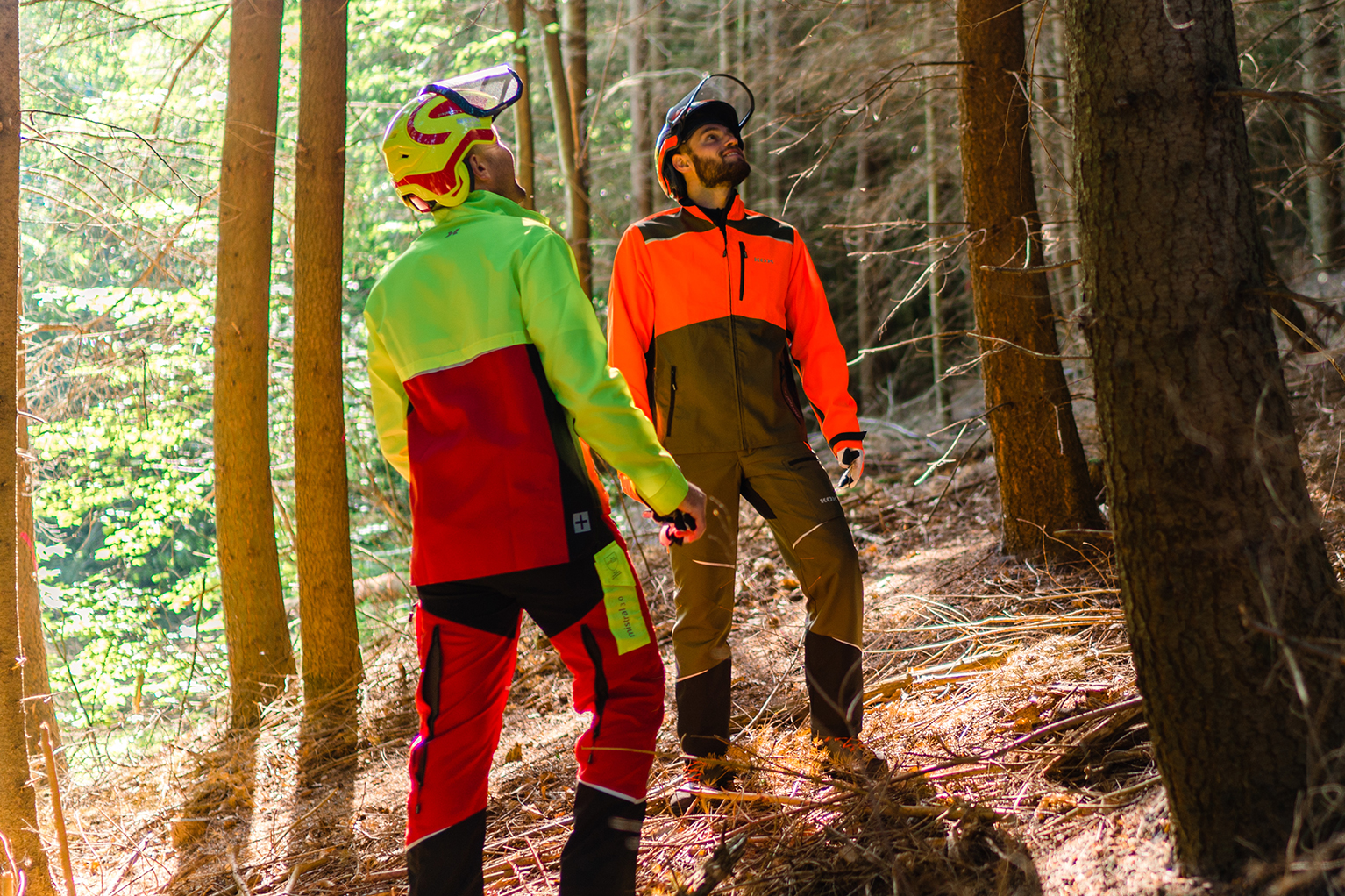 Twee bosarbeiders in beschermende kleding staan in het bos en kijken omhoog naar de bomen.