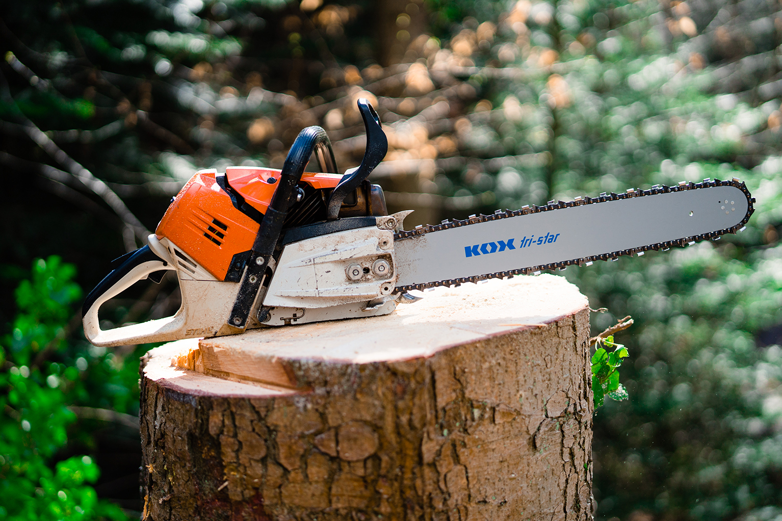 Kettingzaag met KOX tri-star zaagblad en gemonteerde zaagketting ligt op een vers gezaagde boomstam in het bos.