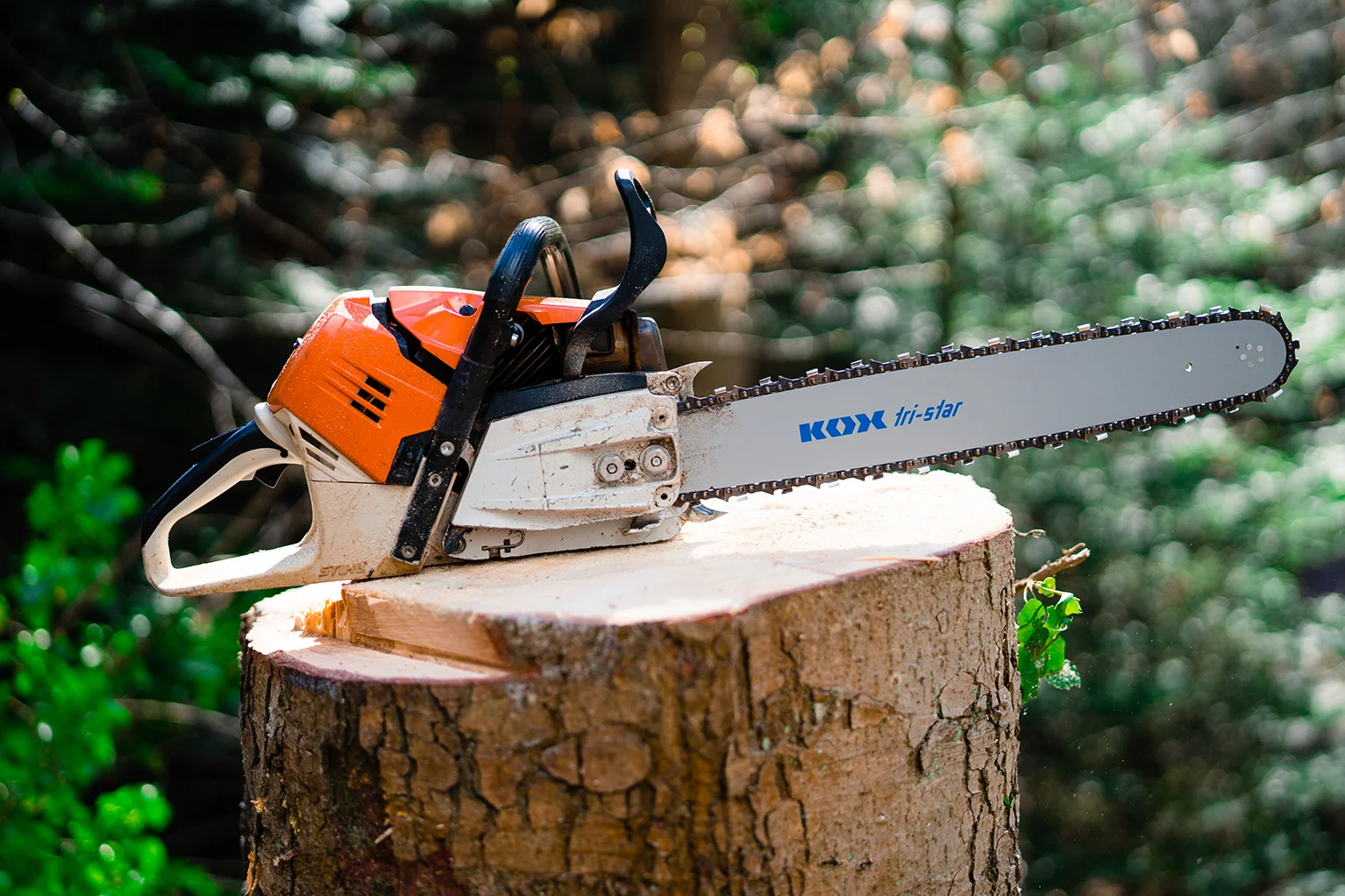 Kettingzaag met KOX tri-star zaagblad en gemonteerde zaagketting ligt op een vers gezaagde boomstam in het bos.