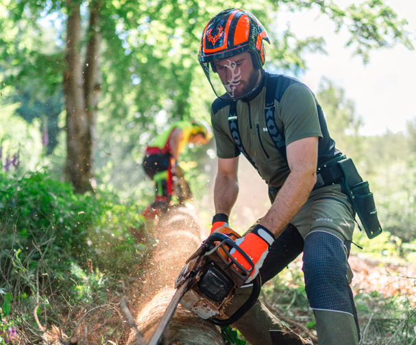 Entdecken Sie unsere Kategorie Forst