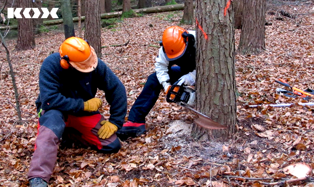 Ausbildung Forstwirt 2022