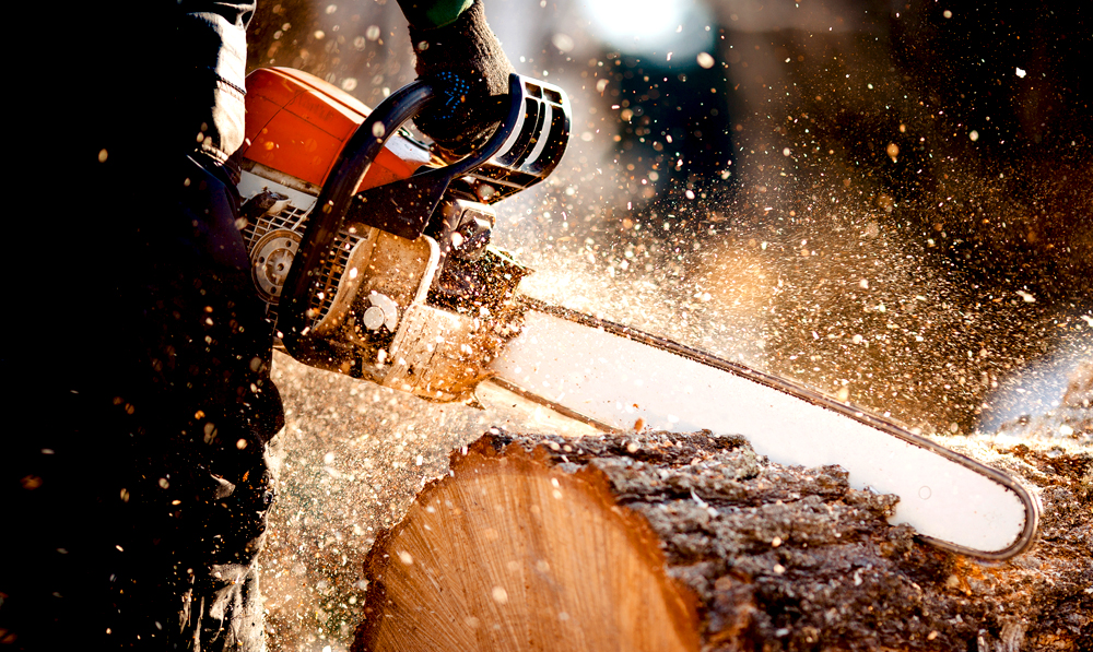 Kettensgen Profitipps