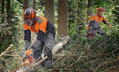 VEILIGHEIDSKLEDING ONLINE KOPEN