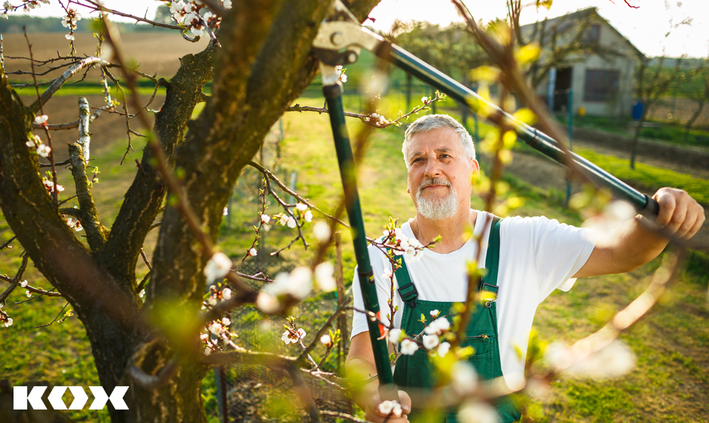 Gartenwerkzuge Astschere