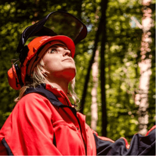 Vragen over artikelen